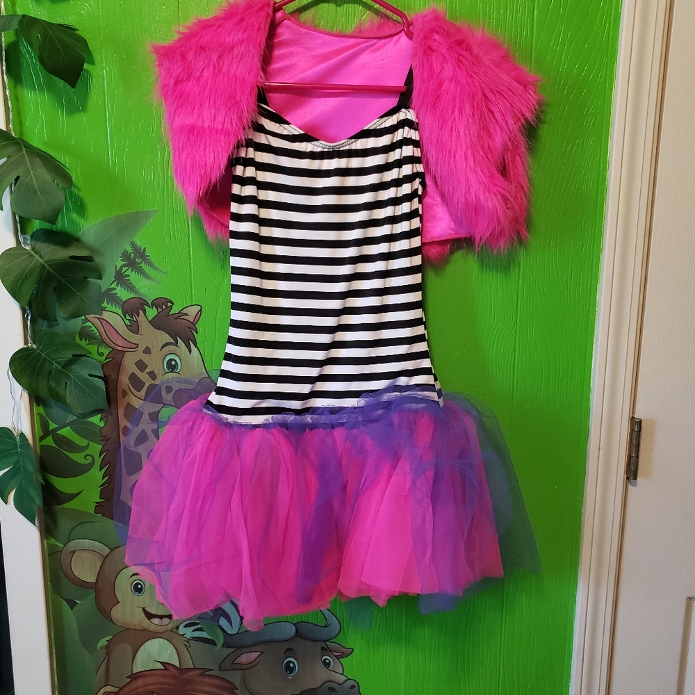 Costume dress